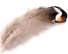 Plunksnos fazano rudai baltai pilkos 4.5-8.5cm 10vnt