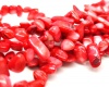 Gėlavandenio perlo kriauklės karoliukai raudono koralo sp. 5x8-10x25mm, juosta