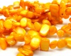 Gėlavandenio perlo kriauklės karoliukai r. geltoni 5x8-10x25mm, juosta