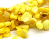 Gėlavandenio perlo kriauklės karoliukai geltoni 5x8-10x25mm, juosta