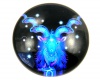 Stiklinis kaboonas zodiakas "Oiaragis" apvalus 25x6mm